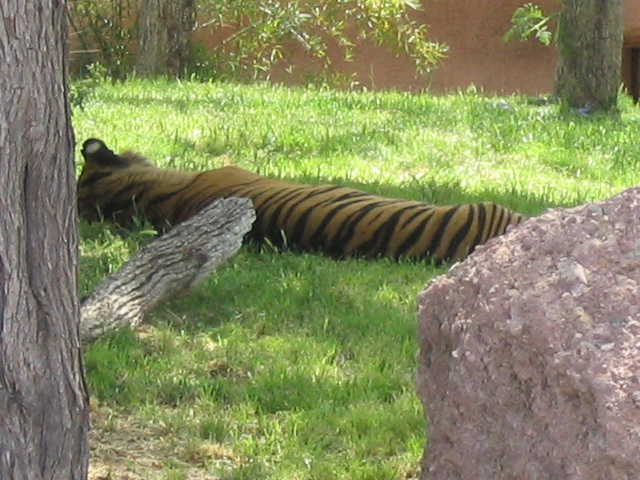 618x457 pixels (219K)